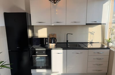 Location d’un appartement de 2 pièces avec vue sur le parc, 40 m², Zvezdara, Belgrade, Serbie